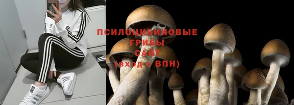 скорость Алзамай